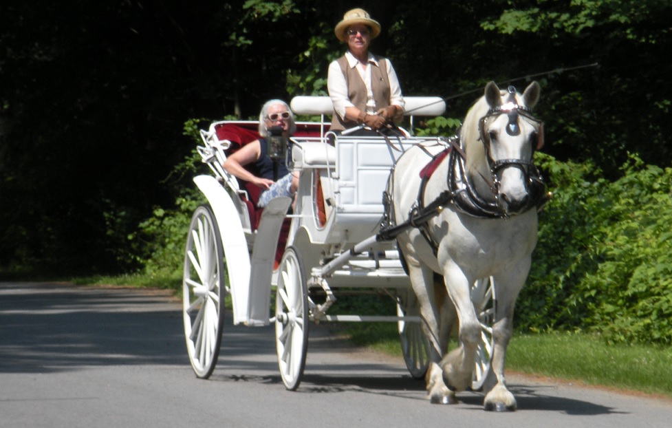 Country Carriage Ride