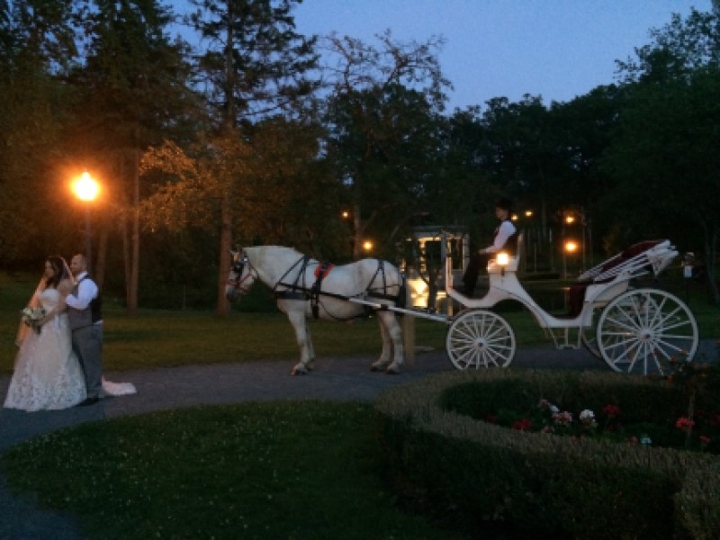 Proposal Carriage Ride